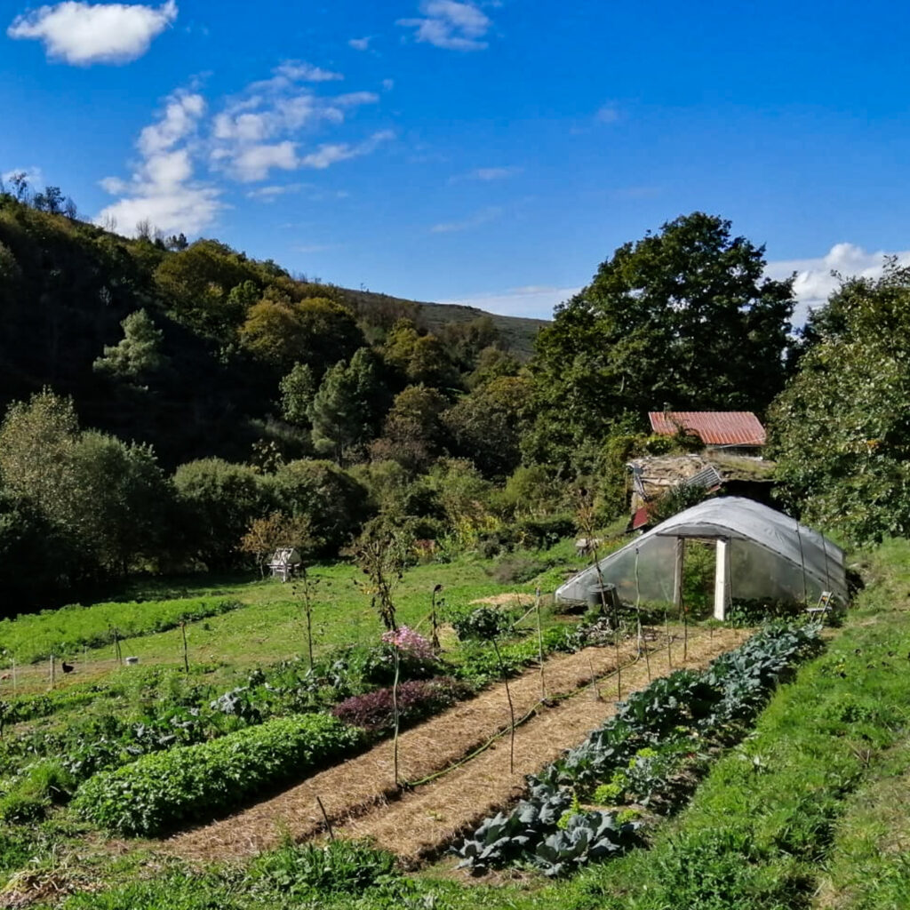 off grid quinta